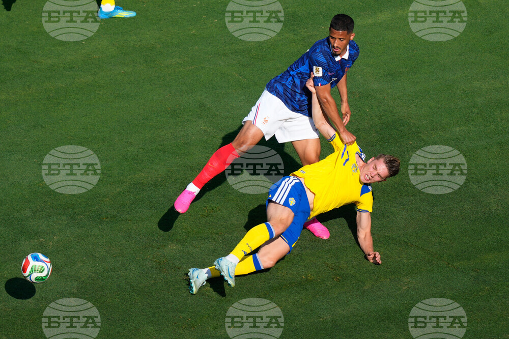 Sweden France WCup Soccer