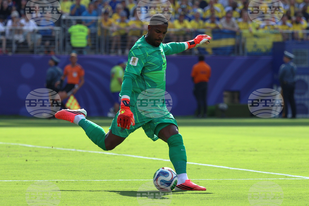 Sweden France WCup Soccer