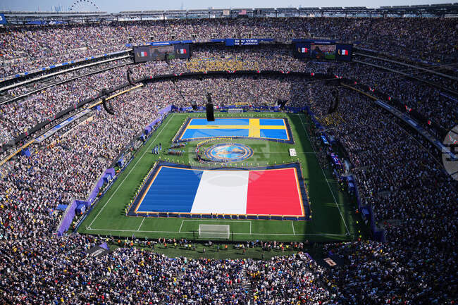 APTOPIX Sweden France WCup Soccer