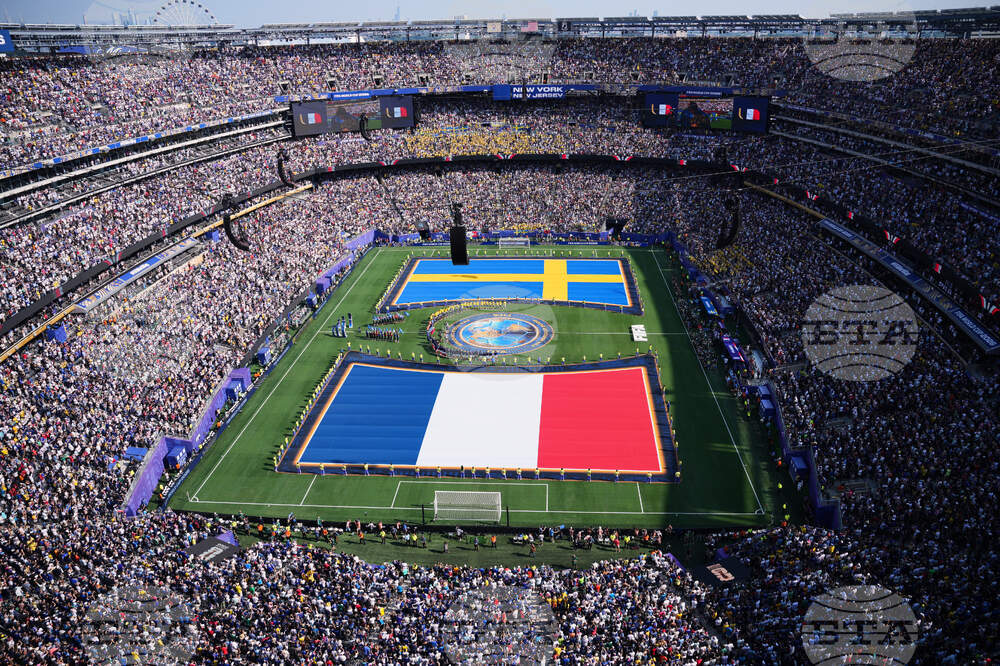 APTOPIX Sweden France WCup Soccer