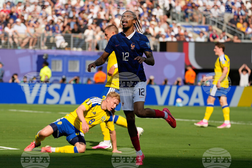Sweden France WCup Soccer