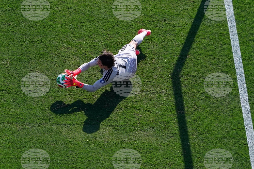 Sweden France WCup Soccer