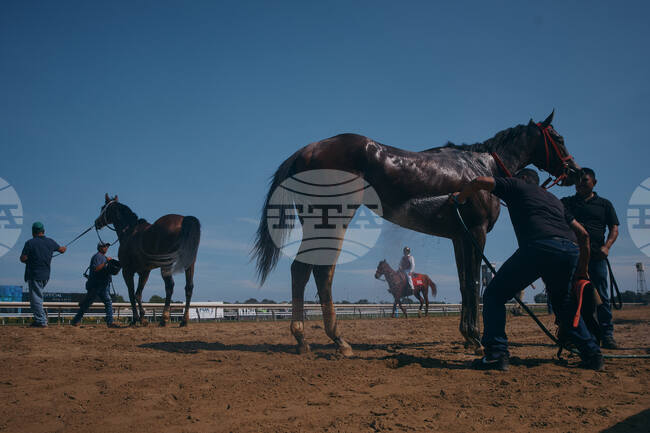 Aqueduct Closing Horse Racing Photo Essay