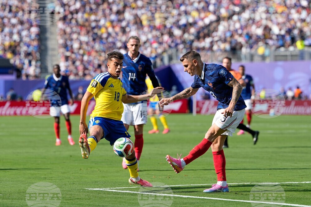 Sweden France WCup Soccer