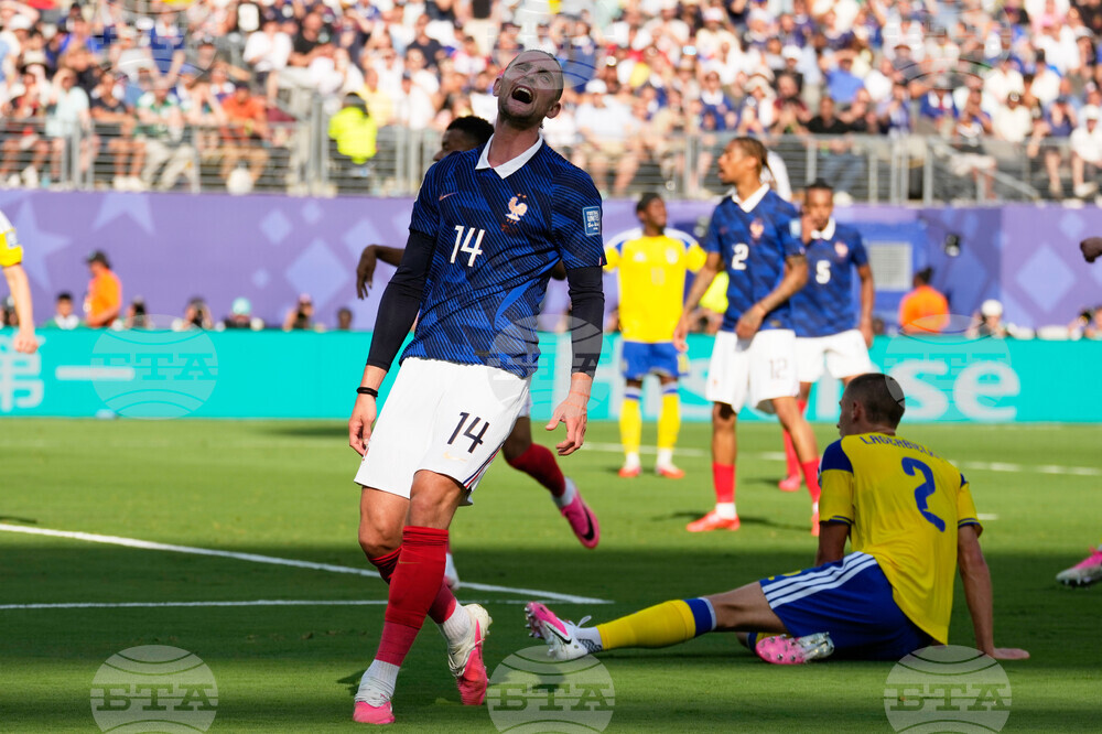 Sweden France WCup Soccer