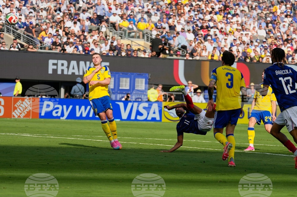 Sweden France WCup Soccer