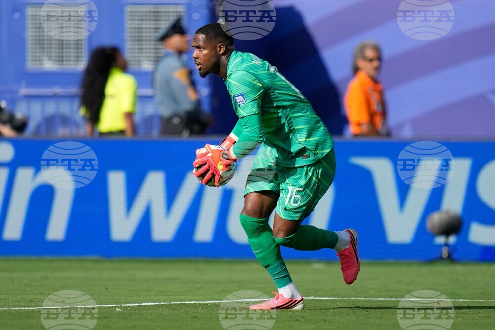 Sweden France WCup Soccer