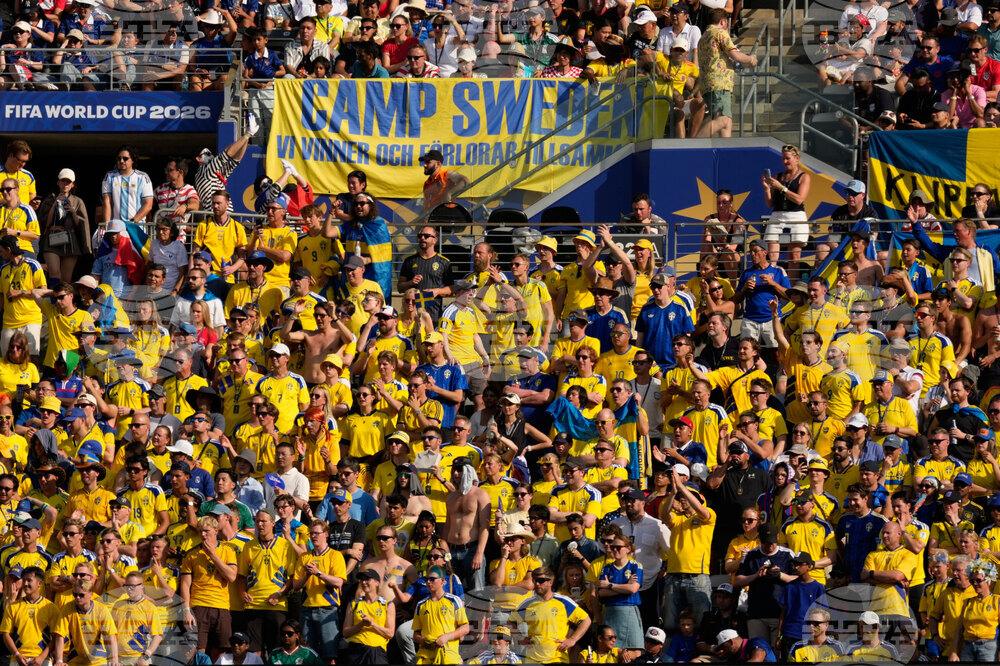 Sweden France WCup Soccer