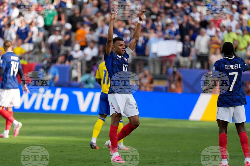Sweden France WCup Soccer