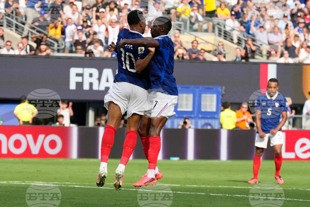 Sweden France WCup Soccer