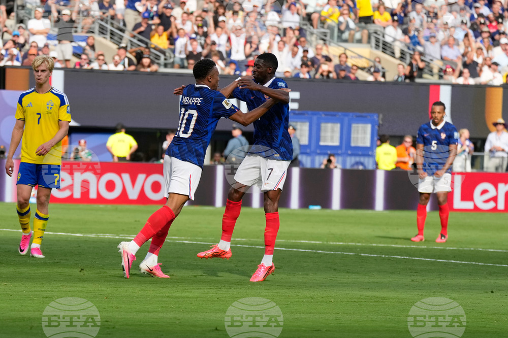 Sweden France WCup Soccer