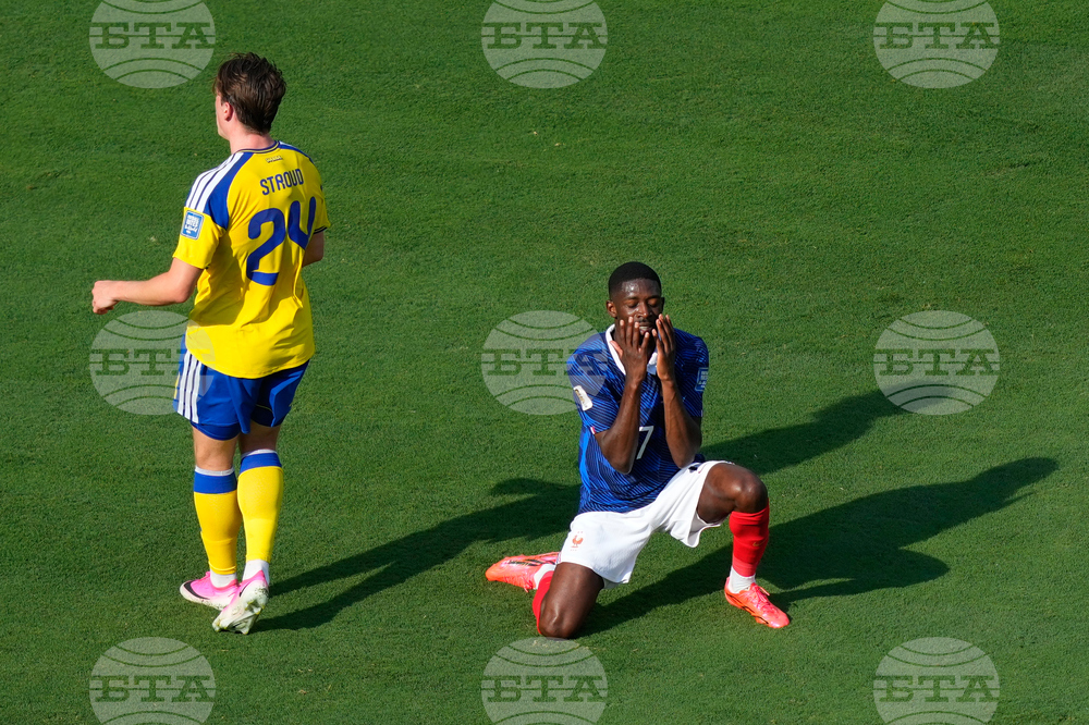 Sweden France WCup Soccer