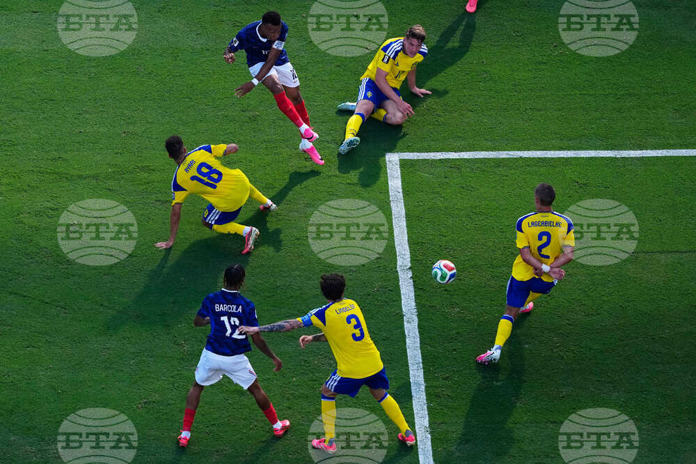 Sweden France WCup Soccer