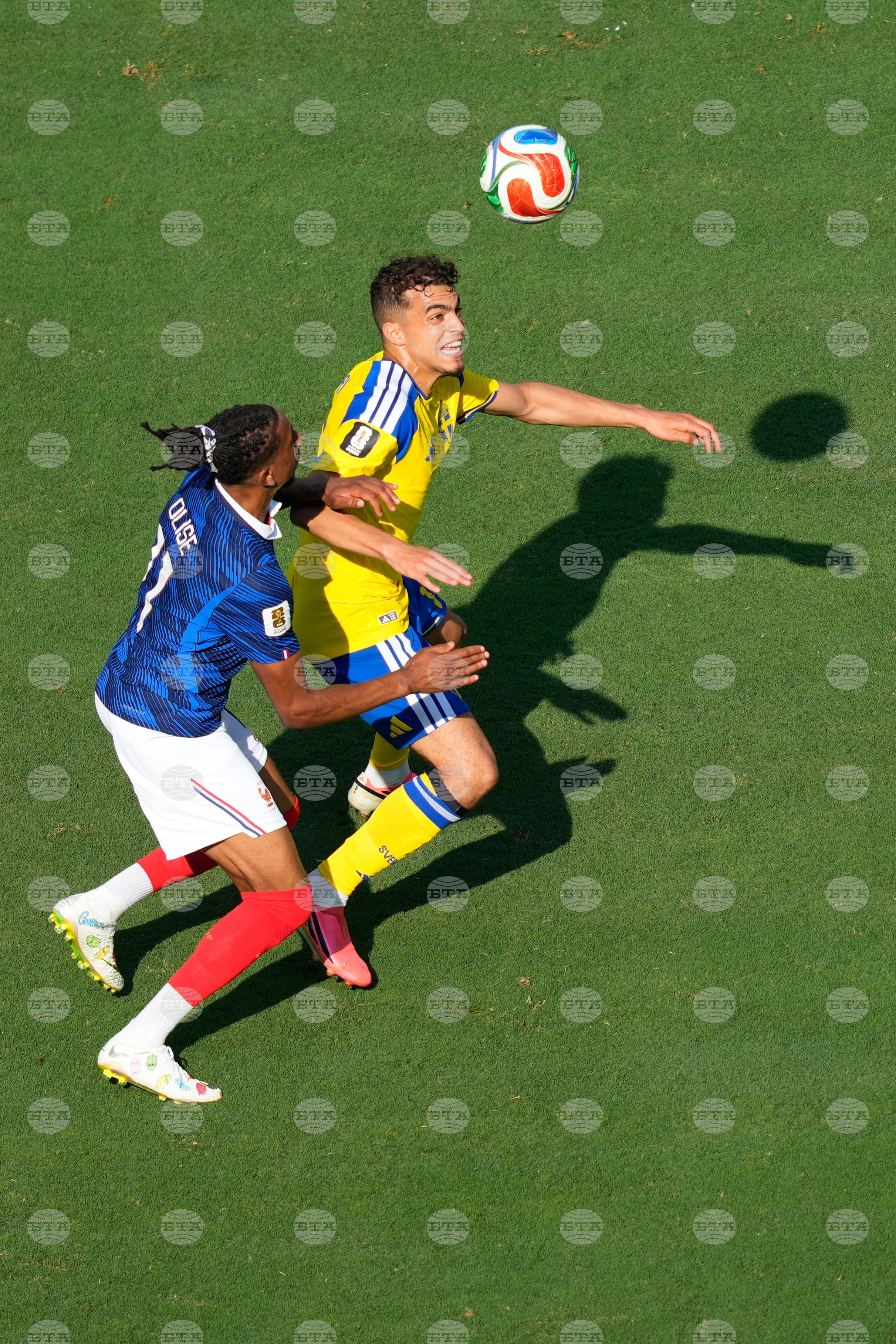 Sweden France WCup Soccer