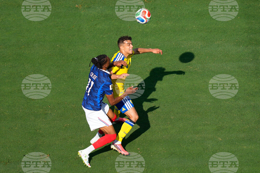 Sweden France WCup Soccer