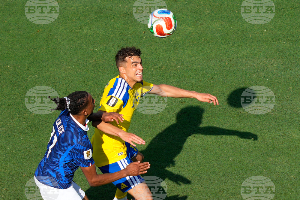 Sweden France WCup Soccer