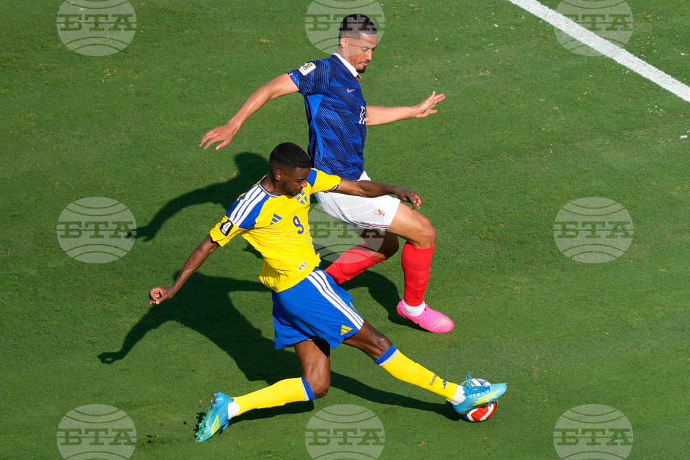 Sweden France WCup Soccer
