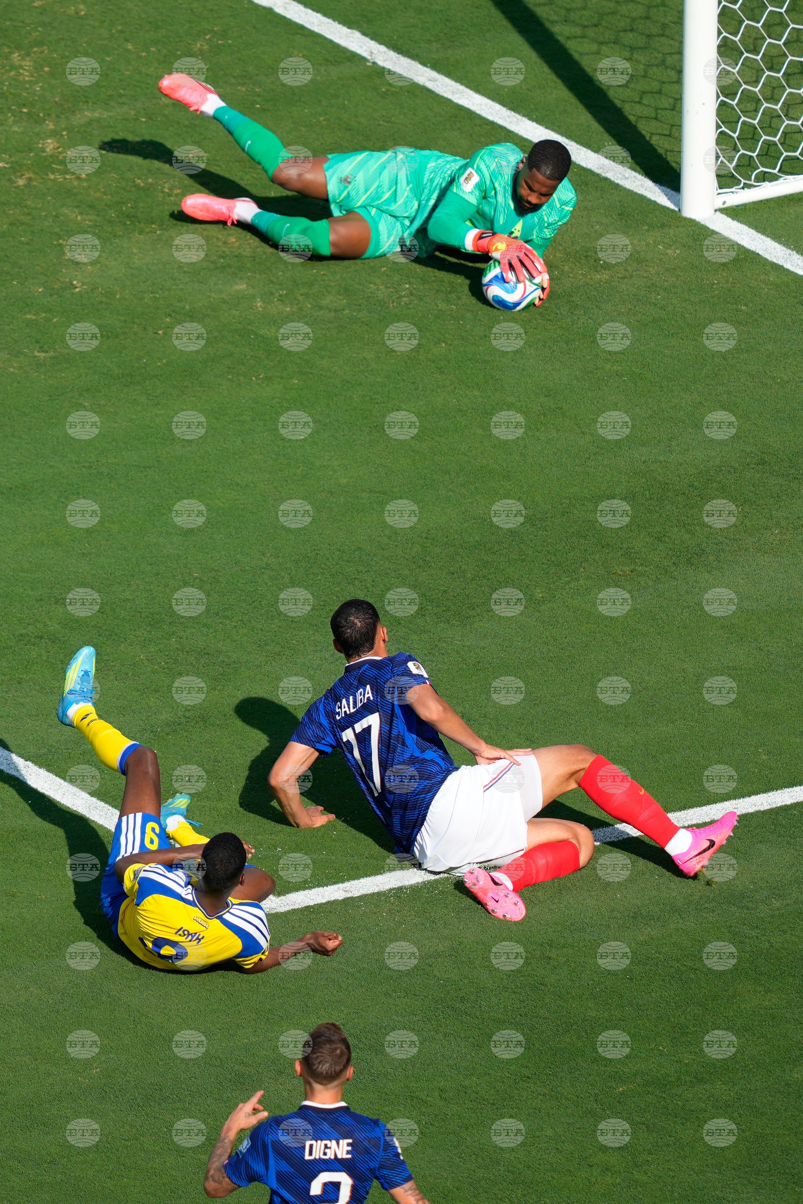 Sweden France WCup Soccer