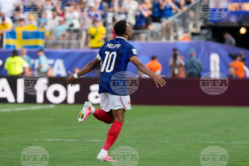 Sweden France WCup Soccer
