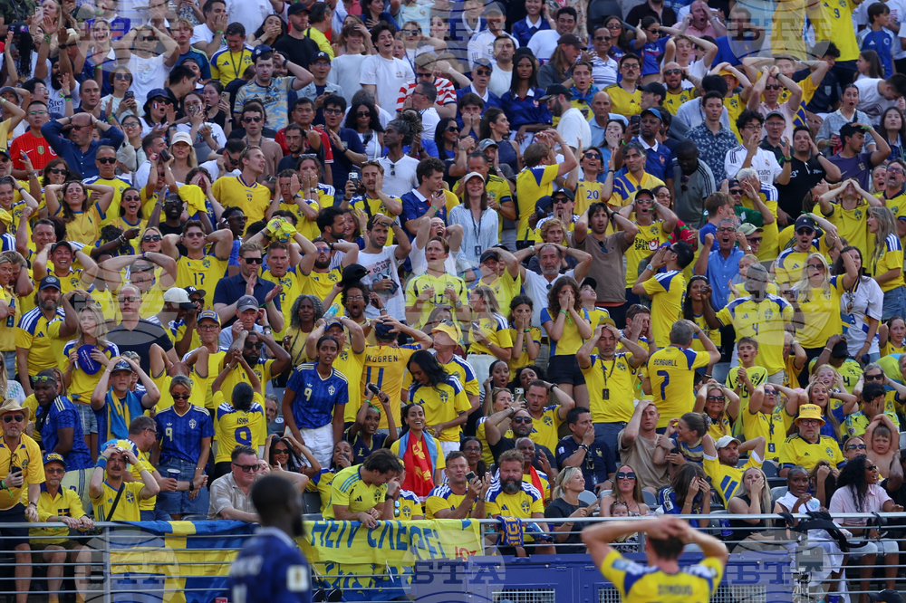 Sweden France WCup Soccer