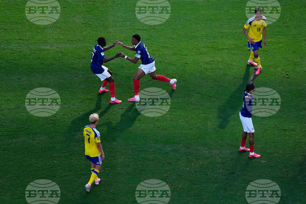 Sweden France WCup Soccer