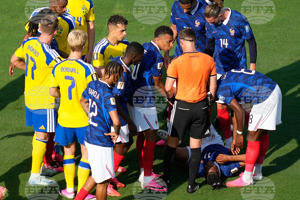 Sweden France WCup Soccer