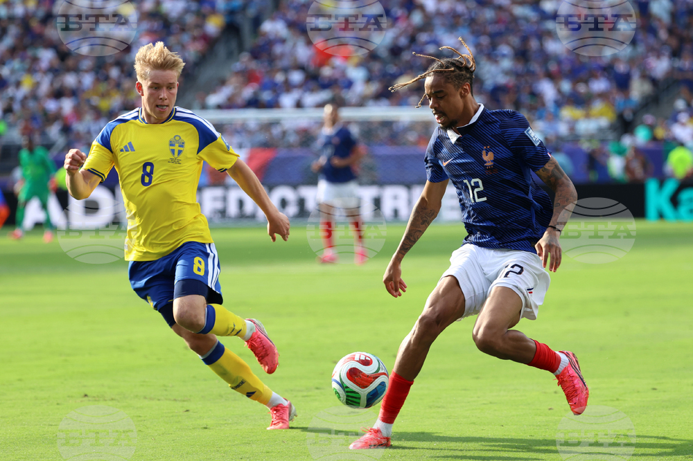 Sweden France WCup Soccer