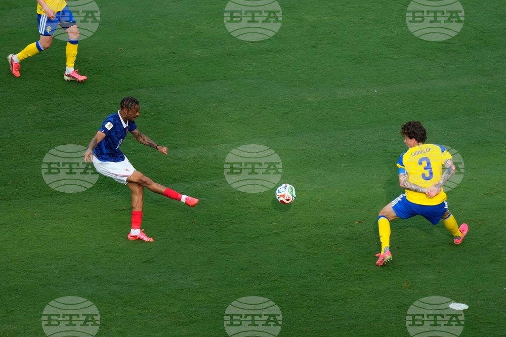 Sweden France WCup Soccer