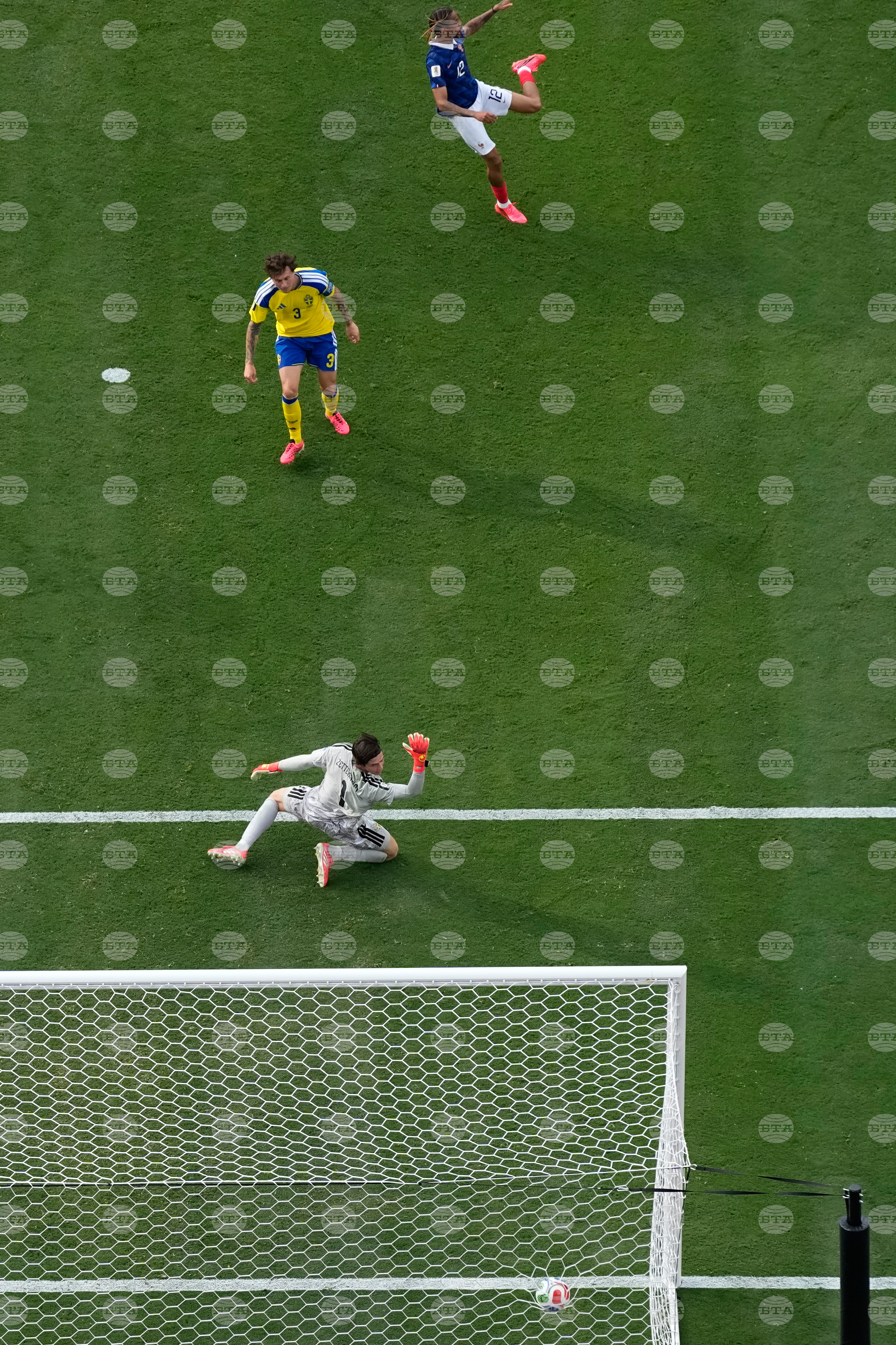 Sweden France WCup Soccer