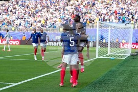 Sweden France WCup Soccer