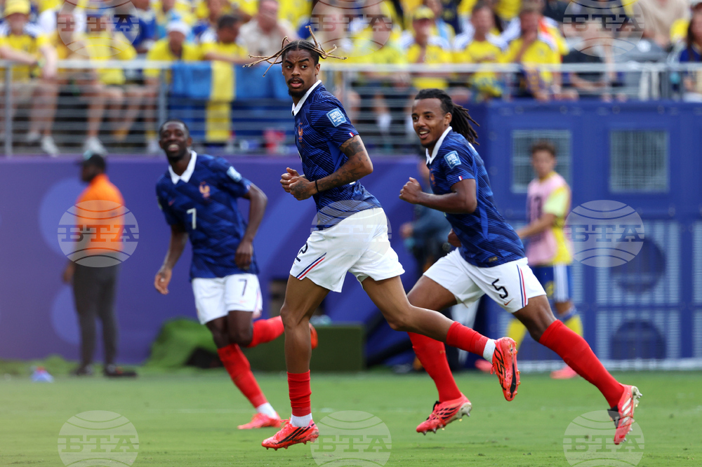 Sweden France WCup Soccer