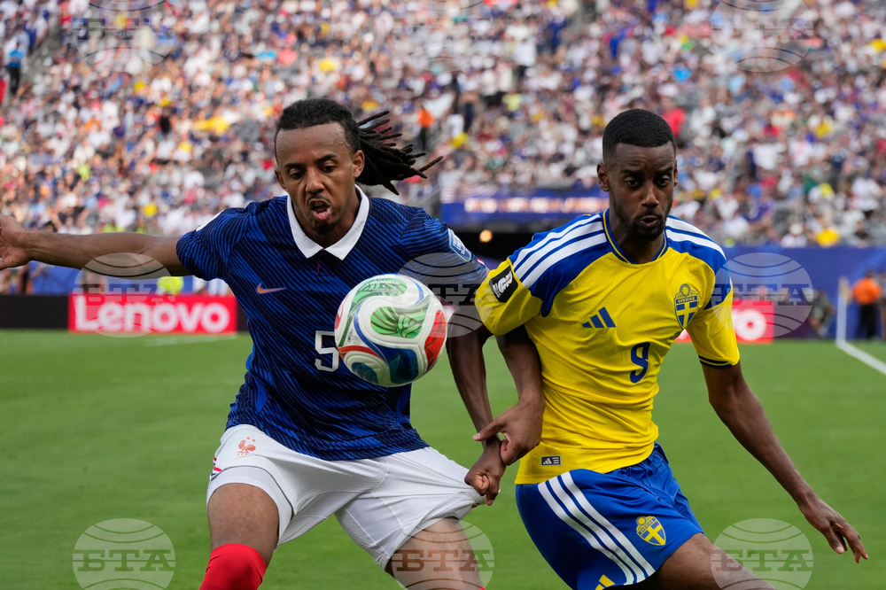 Sweden France WCup Soccer