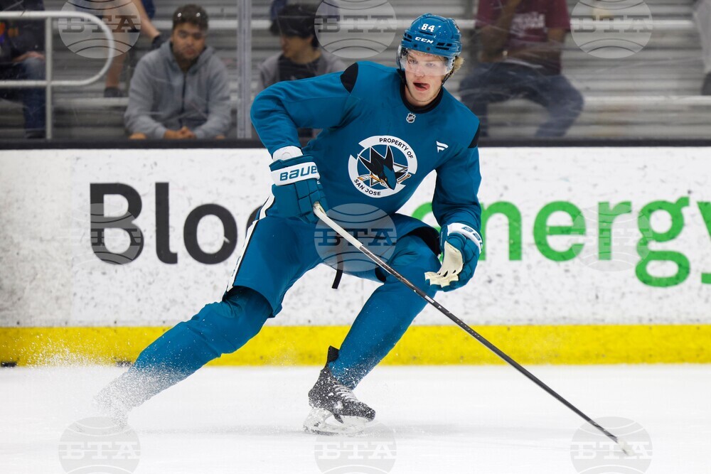 Sharks Hockey