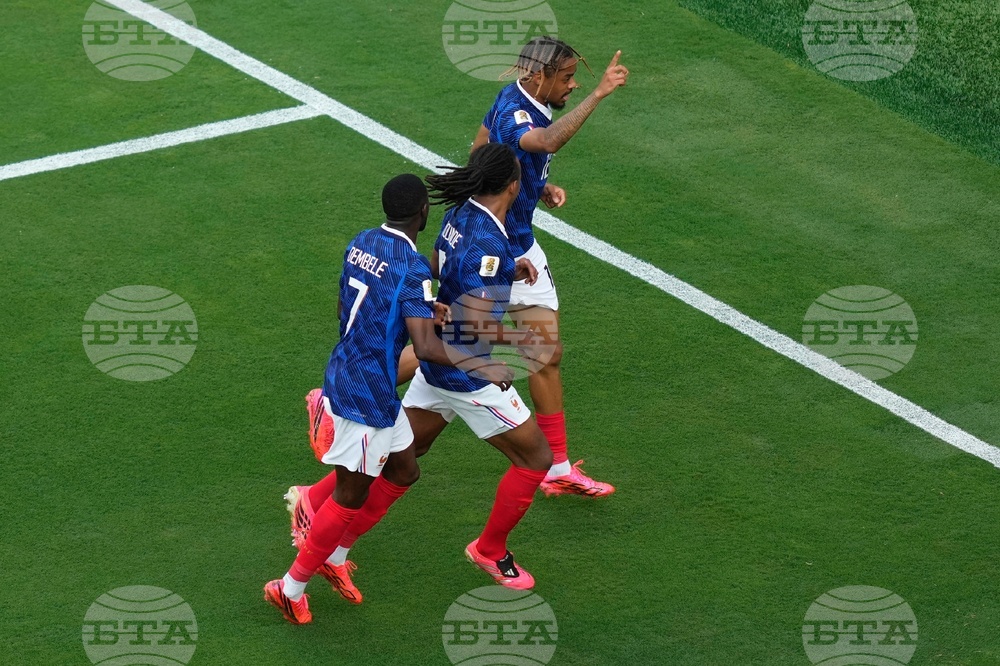 Sweden France WCup Soccer