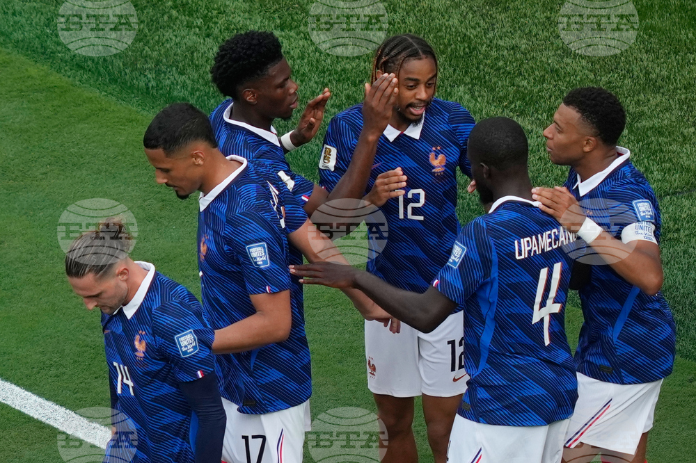 Sweden France WCup Soccer
