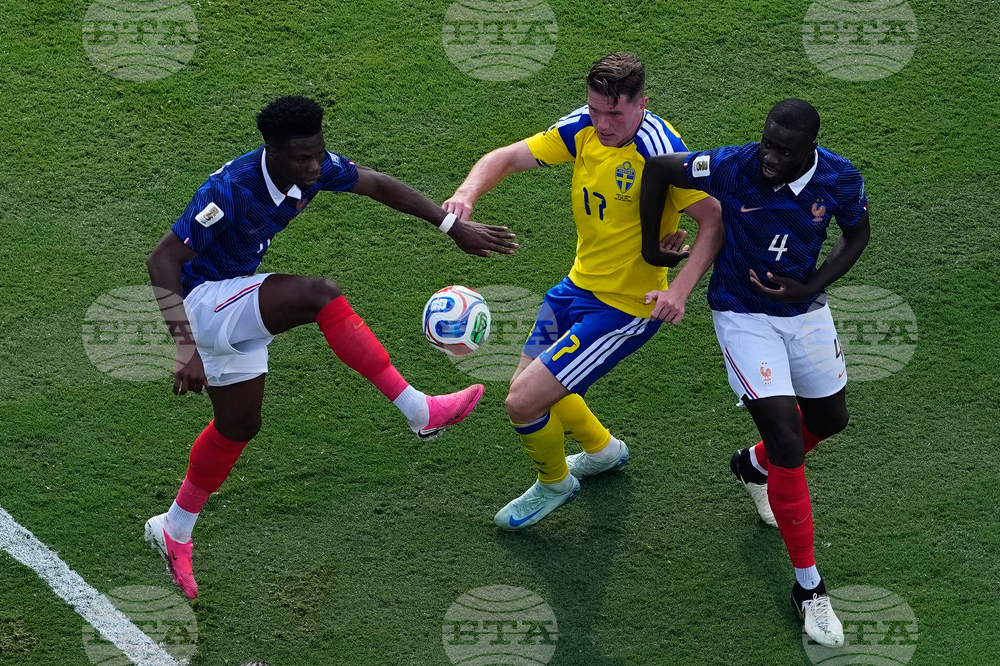 Sweden France WCup Soccer