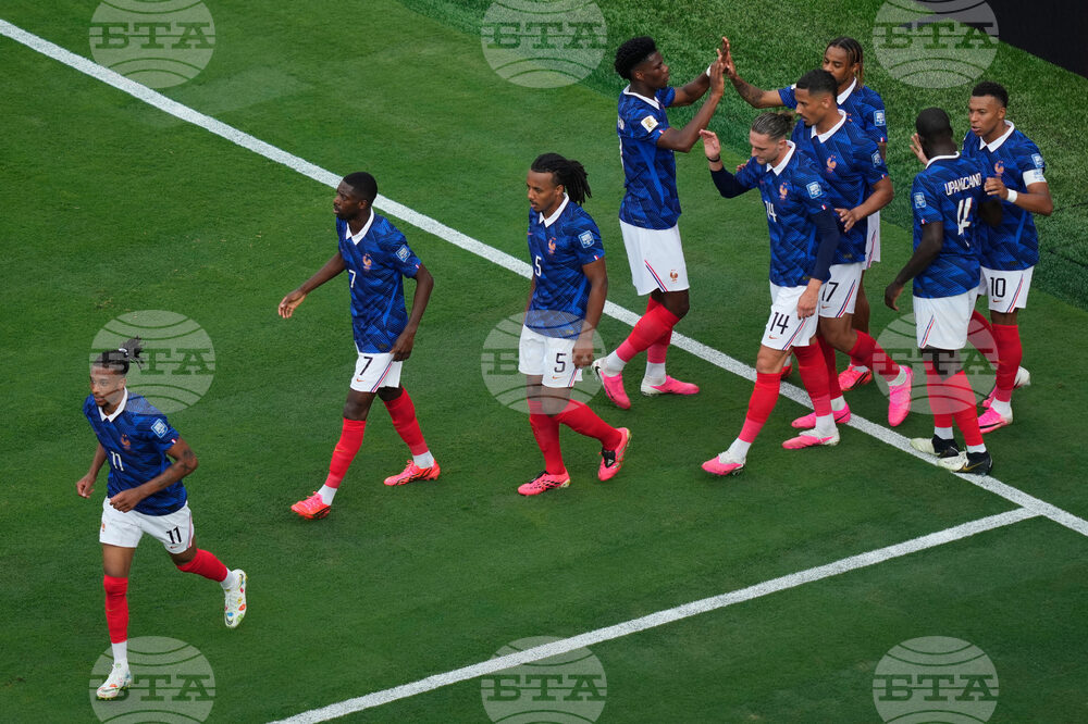 Sweden France WCup Soccer