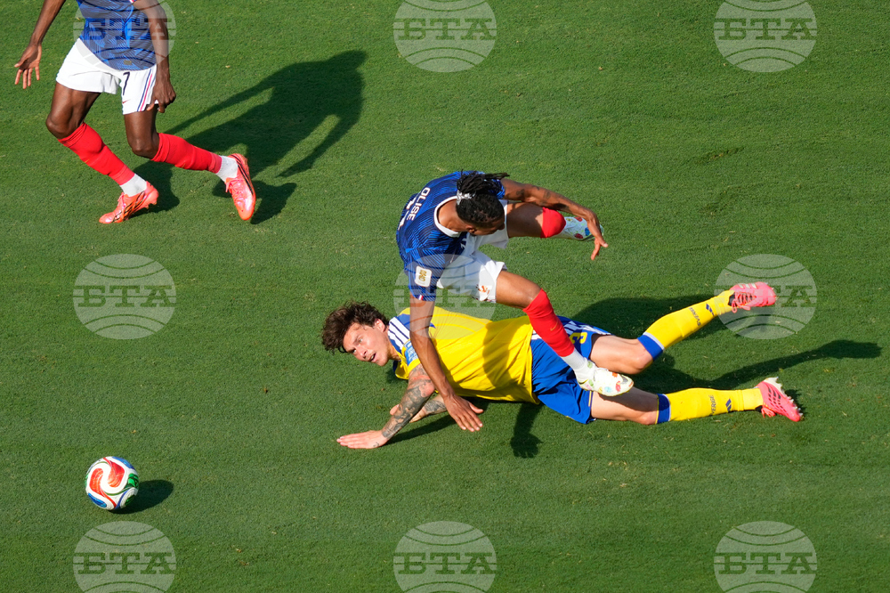Sweden France WCup Soccer