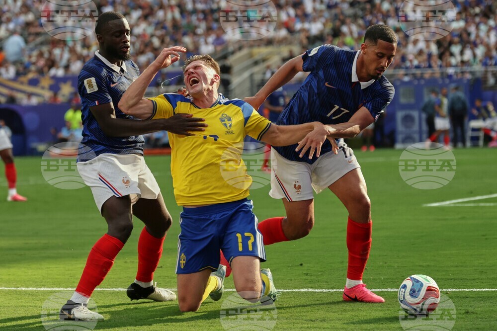 Sweden France WCup Soccer