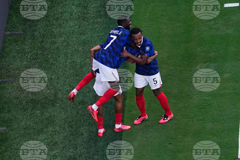 Sweden France WCup Soccer