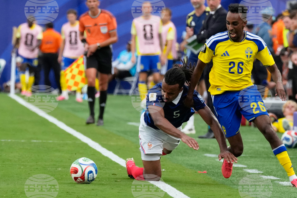 Sweden France WCup Soccer