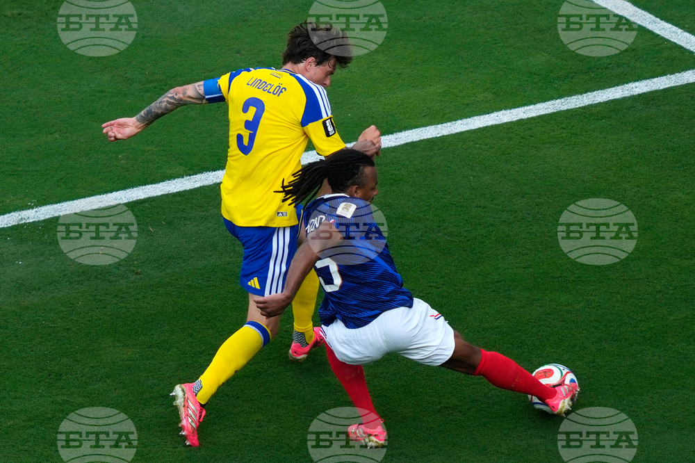 Sweden France WCup Soccer