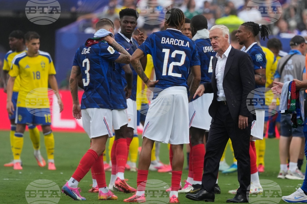 Sweden France WCup Soccer