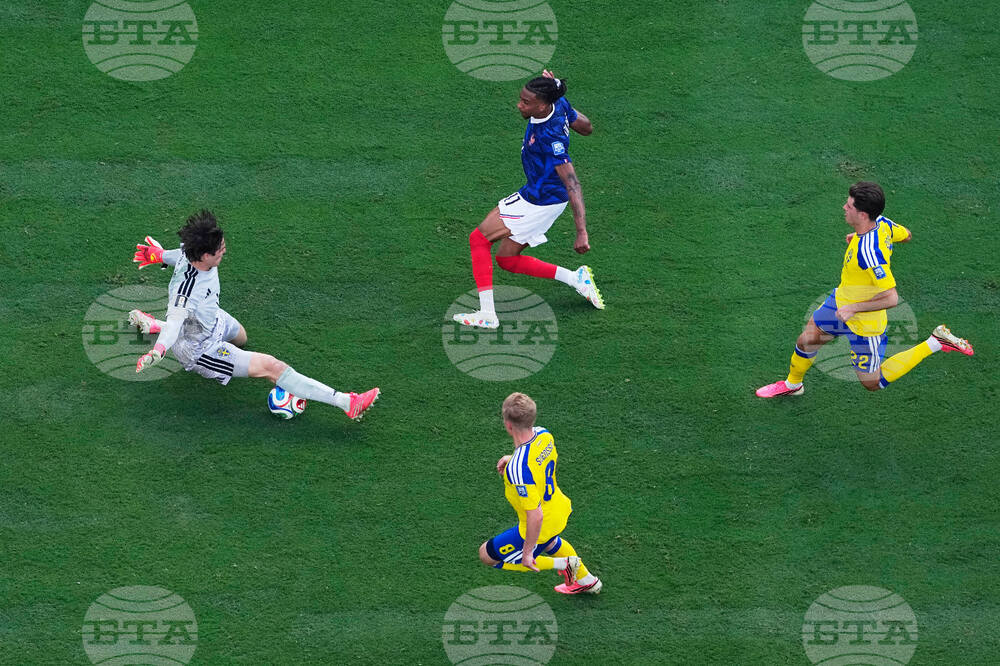 Sweden France WCup Soccer