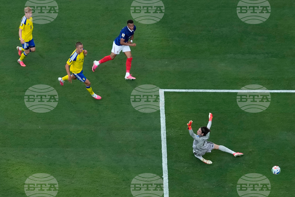 Sweden France WCup Soccer