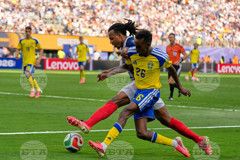 Sweden France WCup Soccer