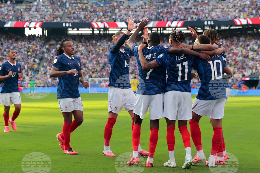 Sweden France WCup Soccer