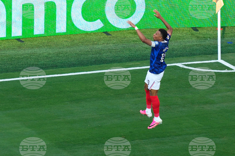Sweden France WCup Soccer