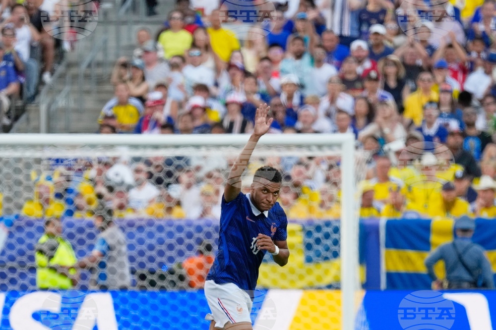 Sweden France WCup Soccer