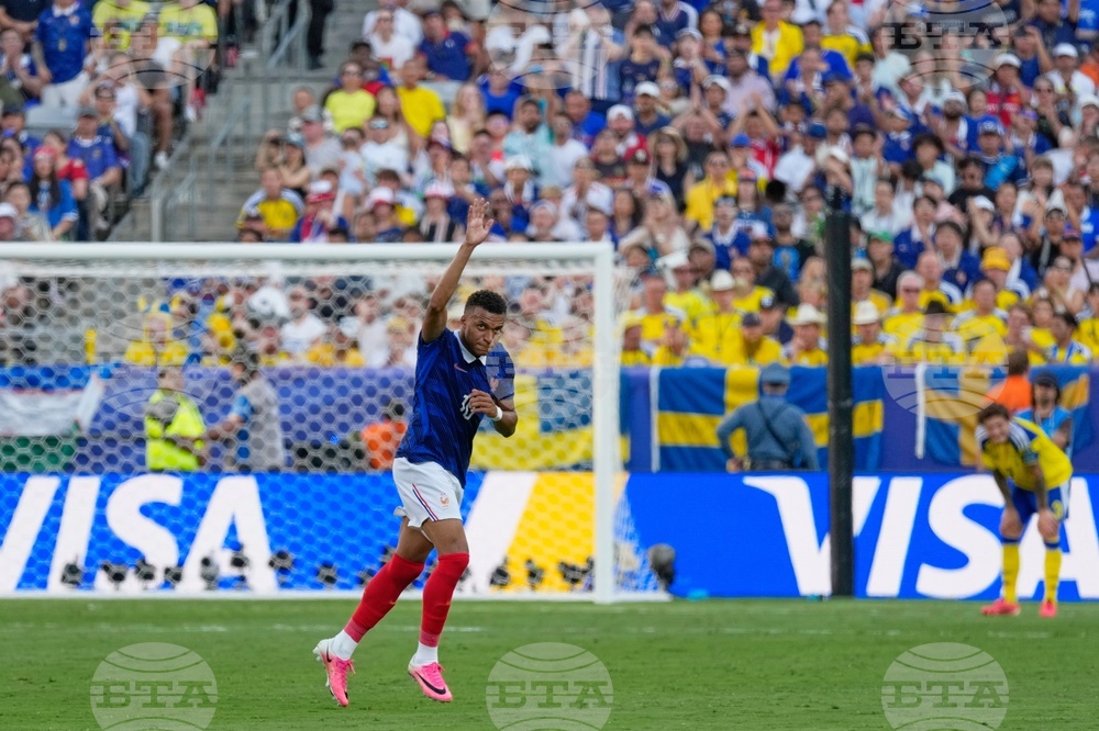 Sweden France WCup Soccer
